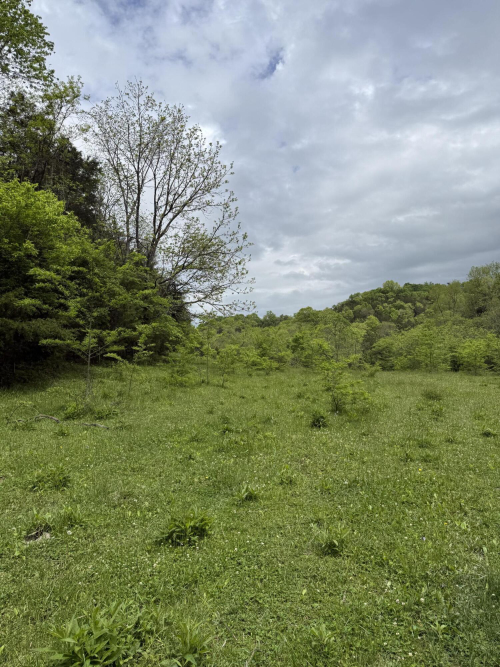 Listing Image 27