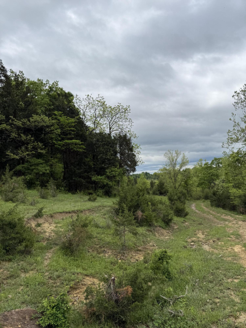 Listing Image 28