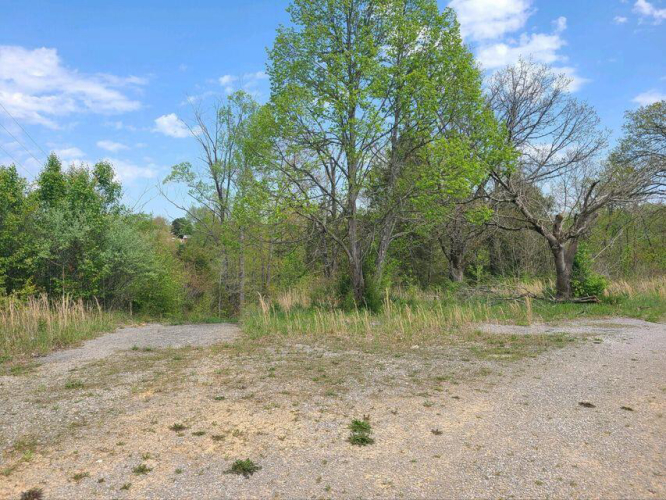 Listing Image 18