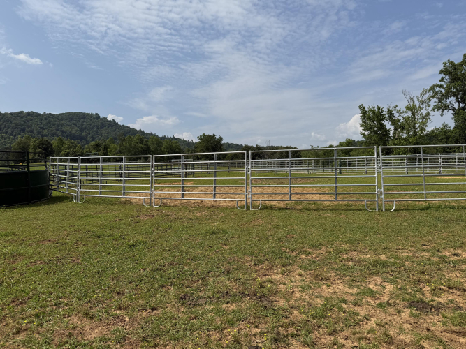 Listing Image 21