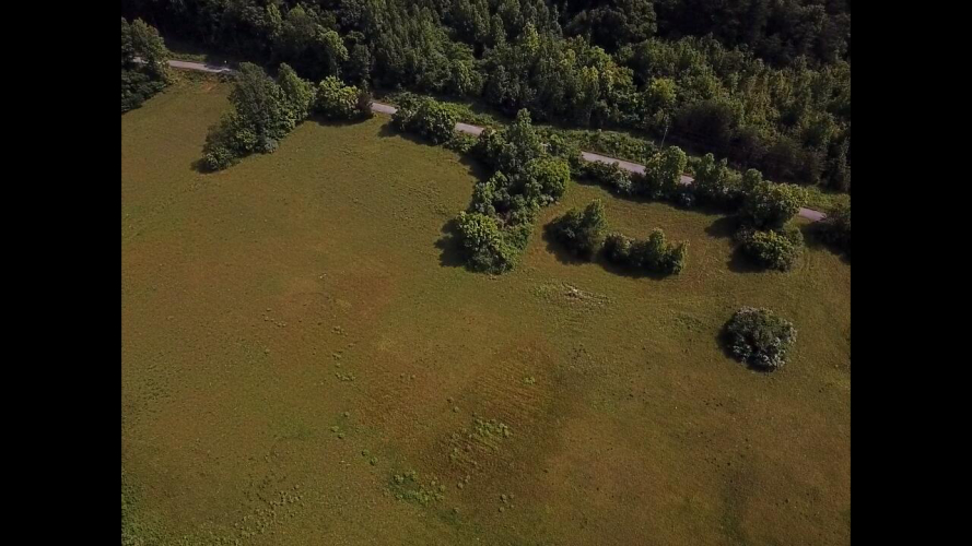 Listing Image 38