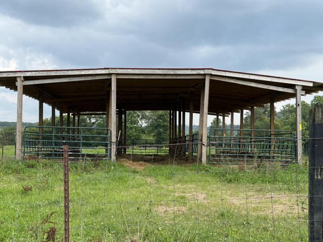 Listing Image 6