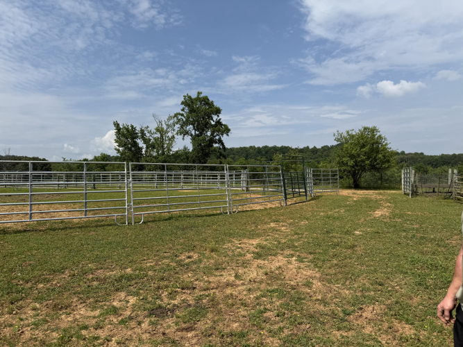 Listing Image 55