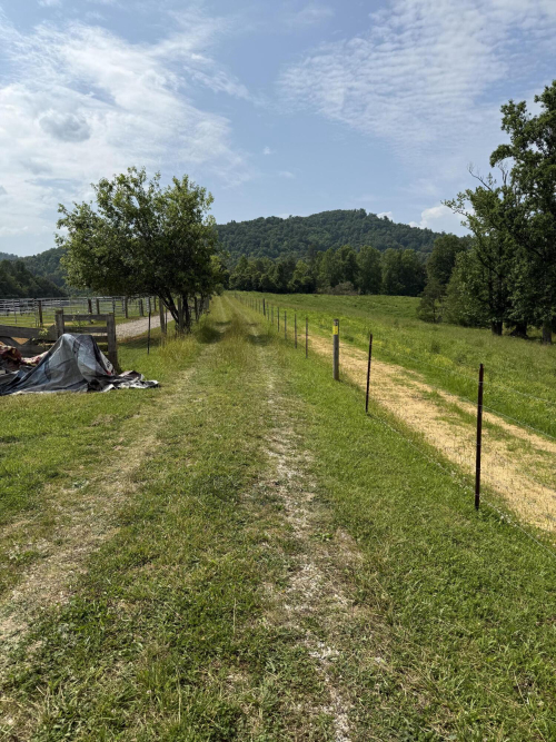 Listing Image 56