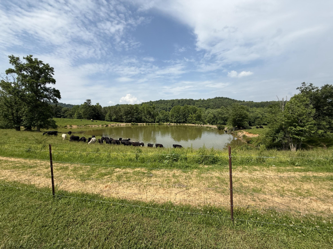 Listing Image 58