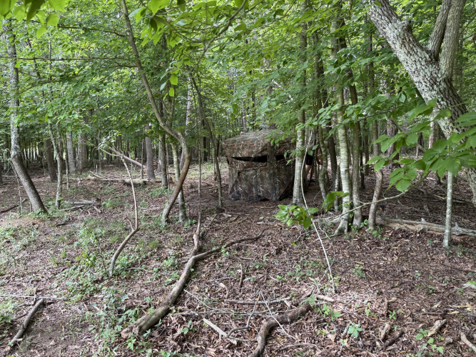 Listing Image 61