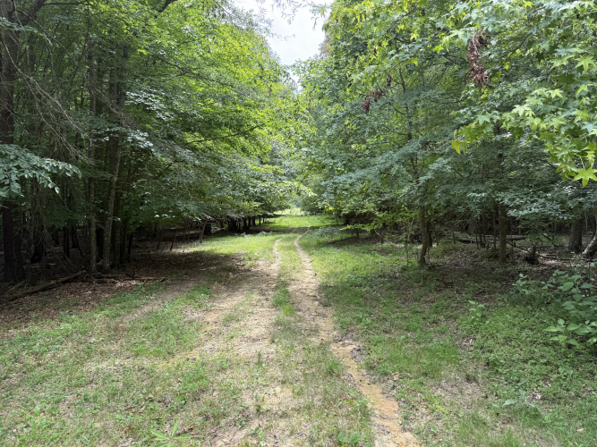 Listing Image 62
