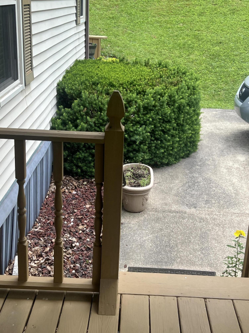 Listing Image 12