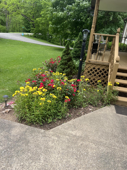 Listing Image 9