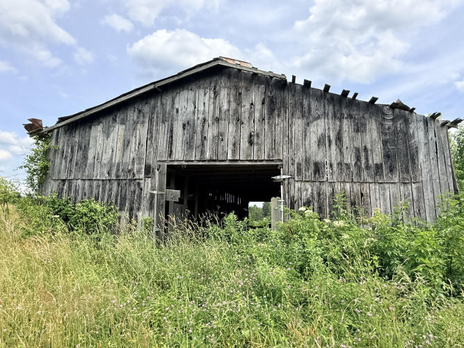 Listing Image 16