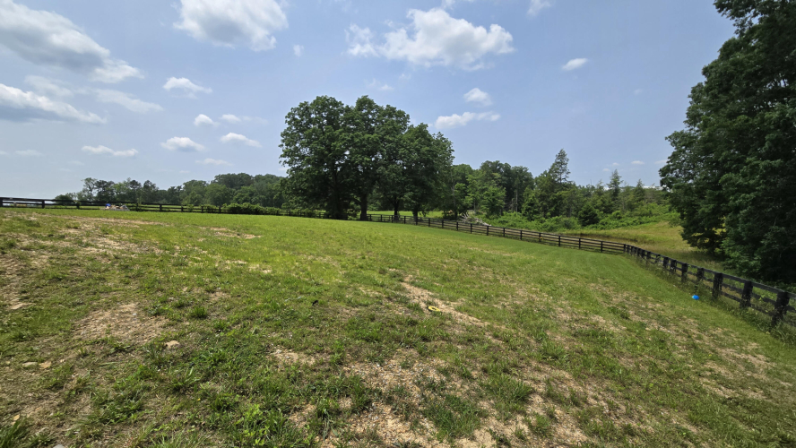 Listing Image 48