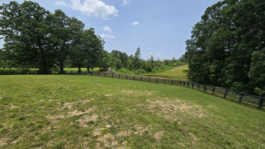 Listing Image 49