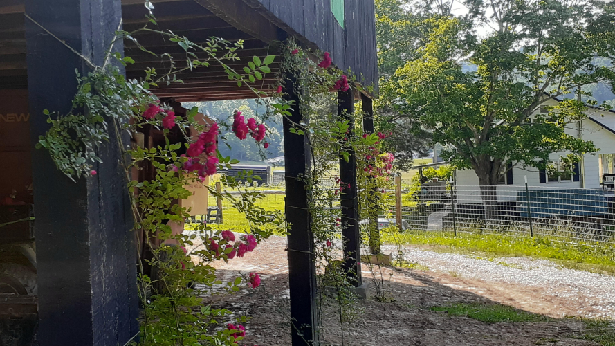 Listing Image 11