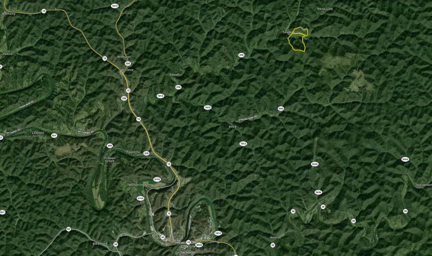 Listing Image 124