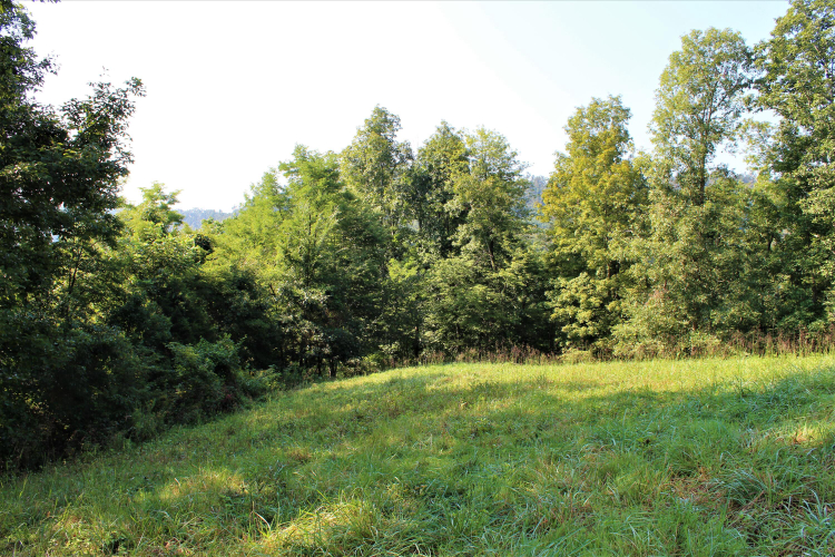 Listing Image 16