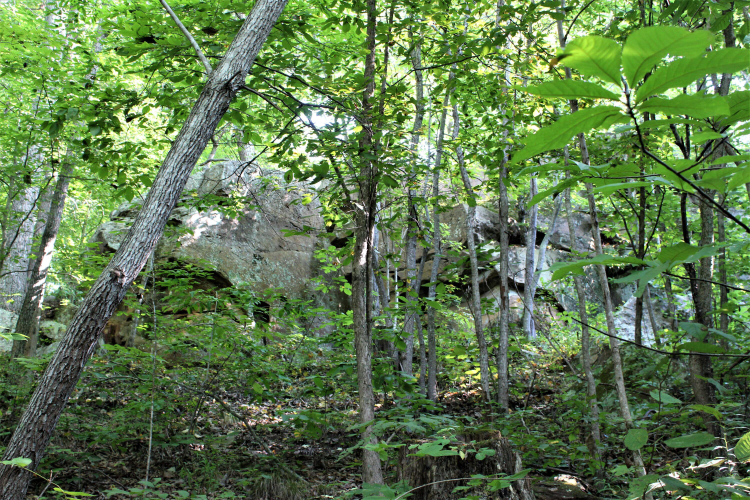Listing Image 20