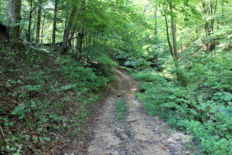 Listing Image 22