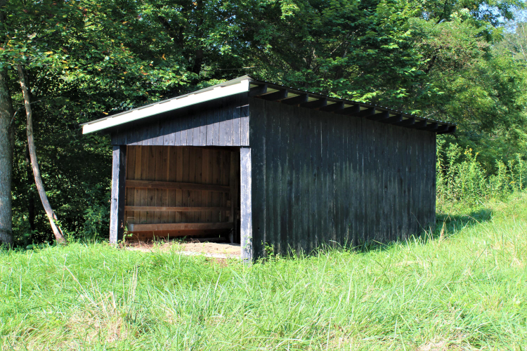 Listing Image 24