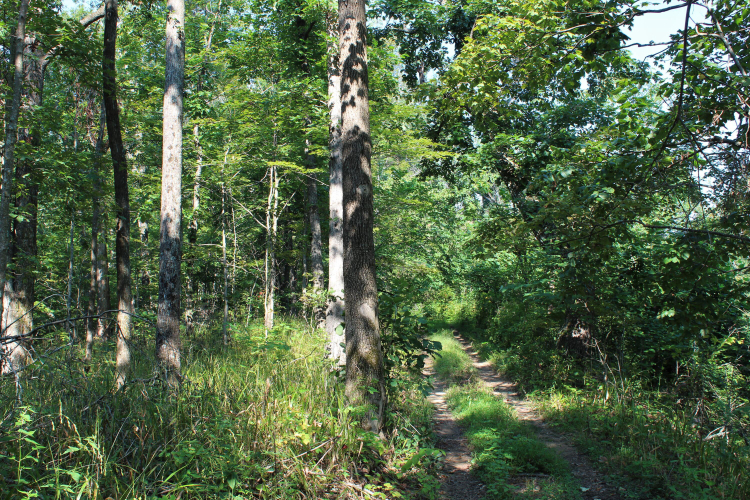 Listing Image 33