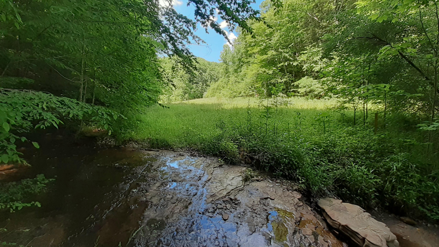 Listing Image 46