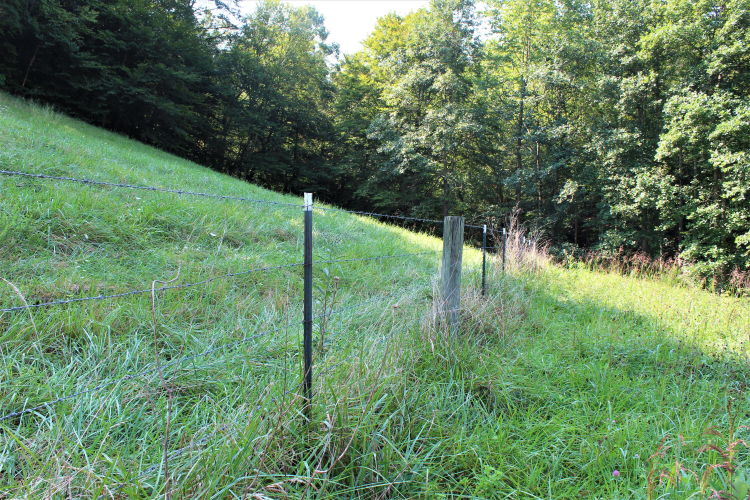 Listing Image 59