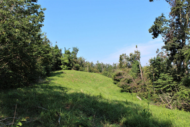 Listing Image 64