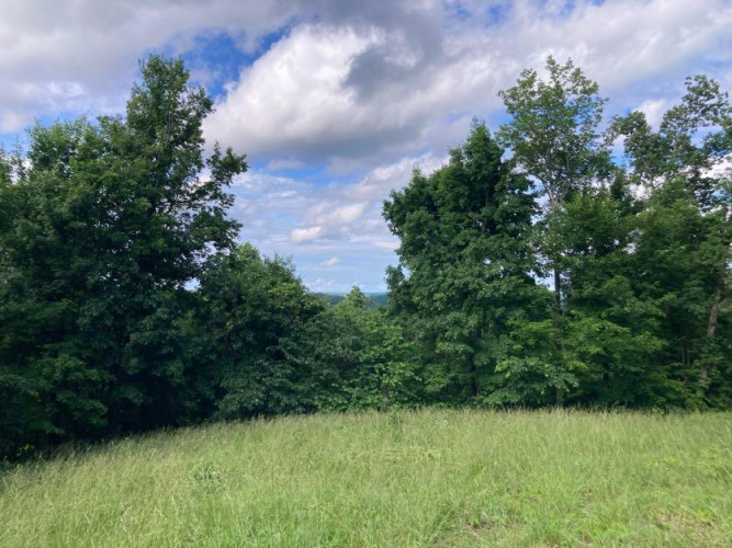 Listing Image 68