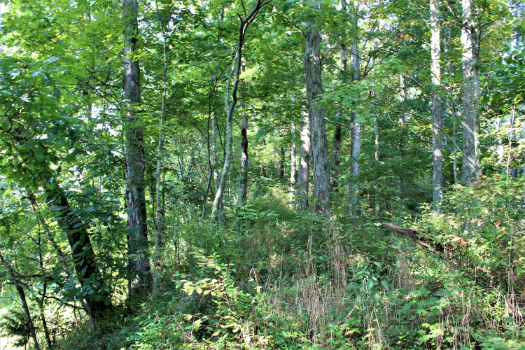 Listing Image 8