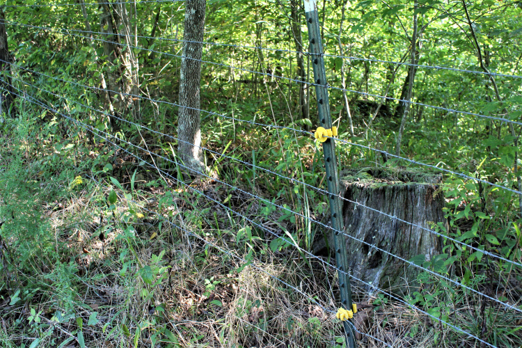 Listing Image 71