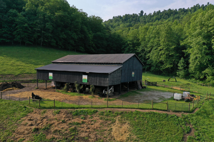 Listing Image 83