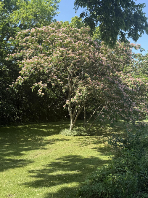 Listing Image 26
