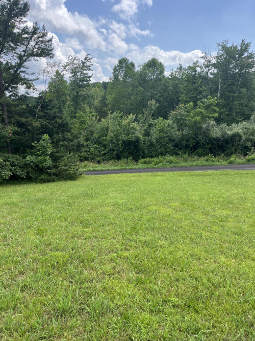 Listing Image 24