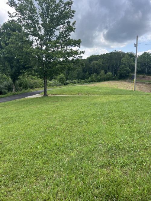 Listing Image 25