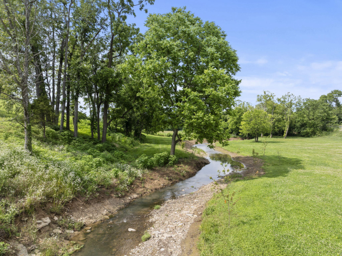 Listing Image 87