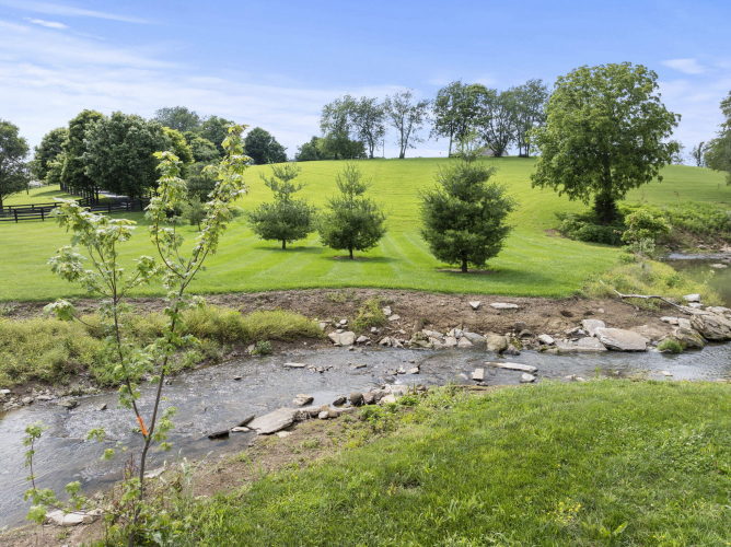 Listing Image 88