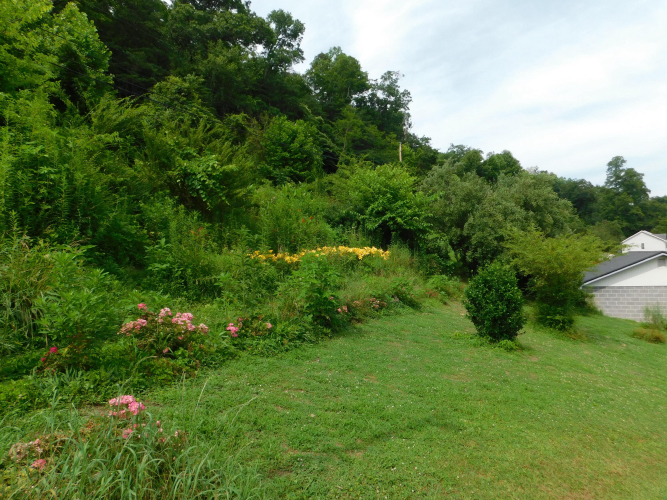Listing Image 113