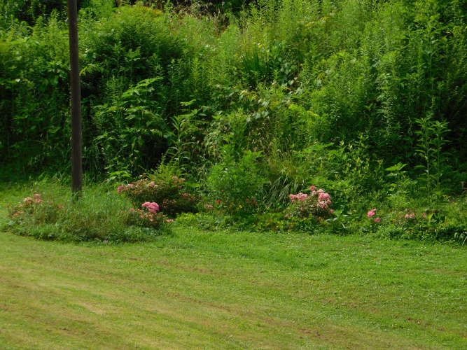Listing Image 118
