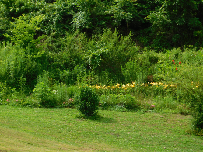 Listing Image 119