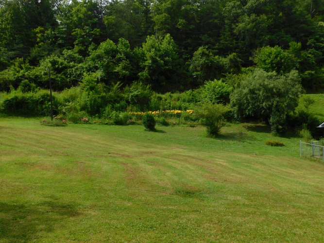 Listing Image 121