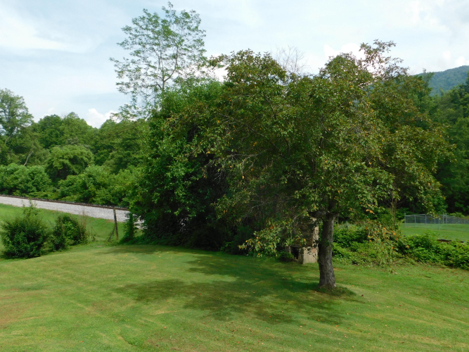 Listing Image 126
