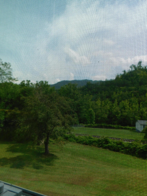 Listing Image 59