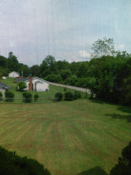 Listing Image 61