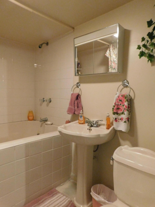 Listing Image 80