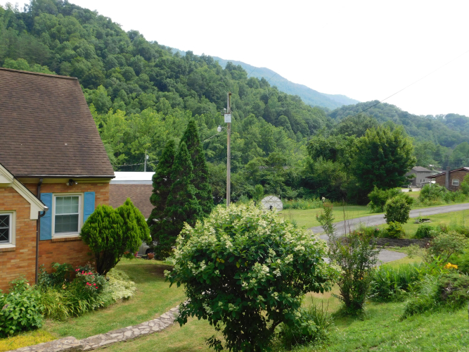 Listing Image 100