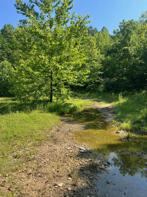 Listing Image 8