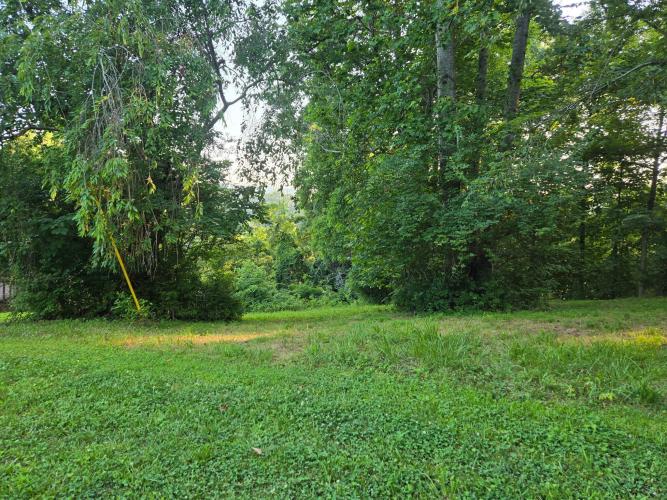 Listing Image 16