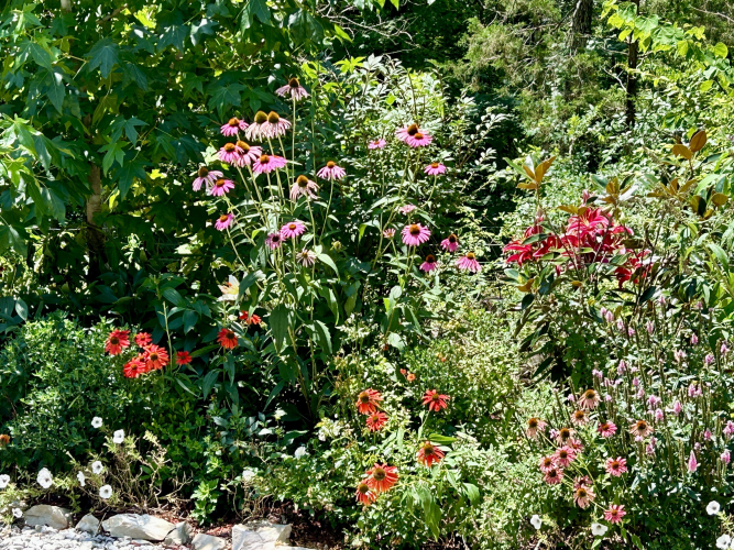 Listing Image 59