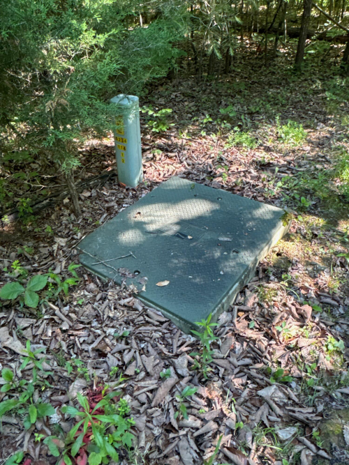 Listing Image 10