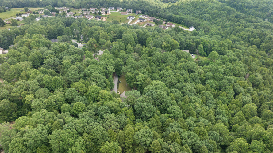 Listing Image 80