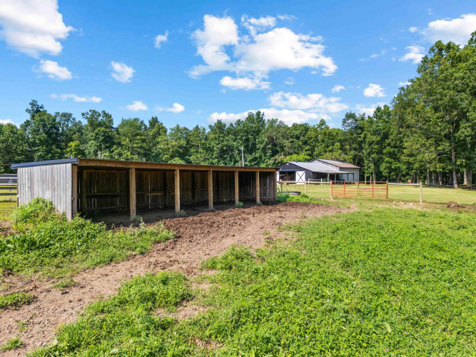 Listing Image 61